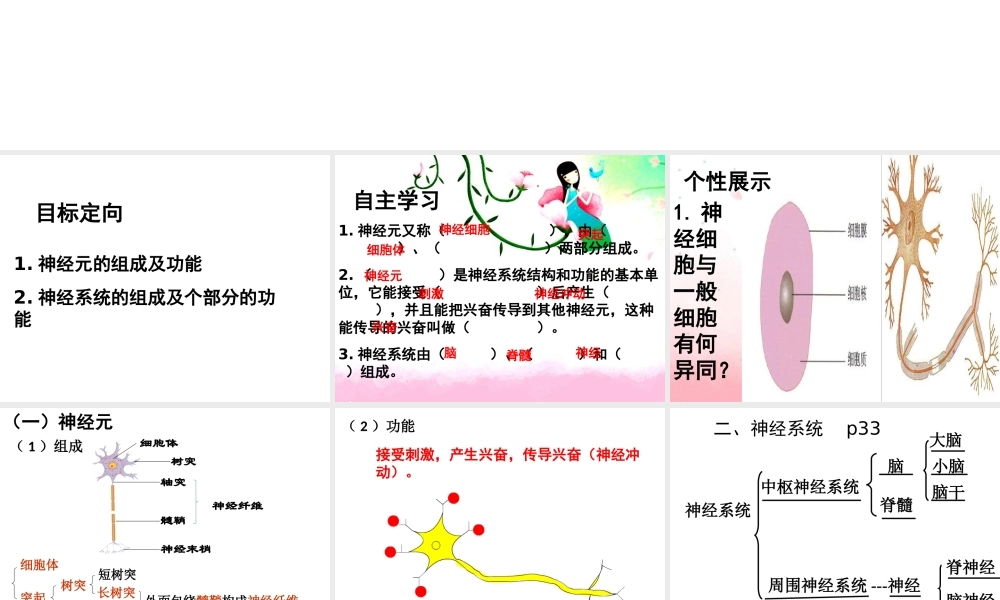 八年级生物上册 第十五章 第一节 人体的神经调节课件 新人教版