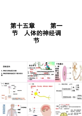 八年级生物上册 第十五章 第一节 人体的神经调节课件 新人教版