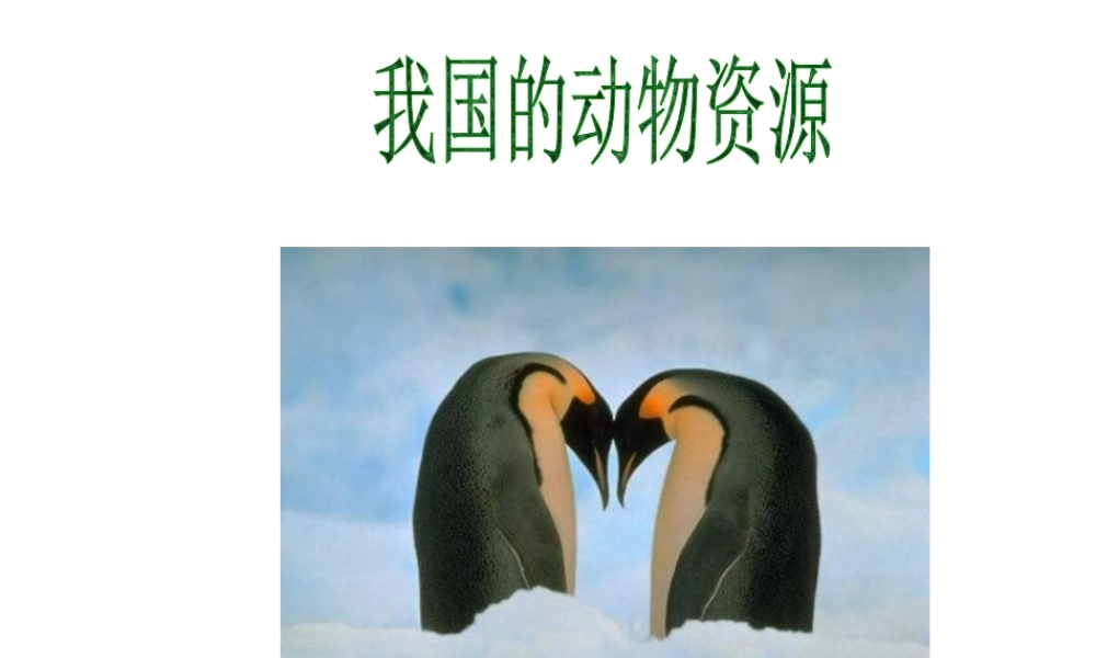 八年级生物上册《我国的动物资源》课件1 北师大版