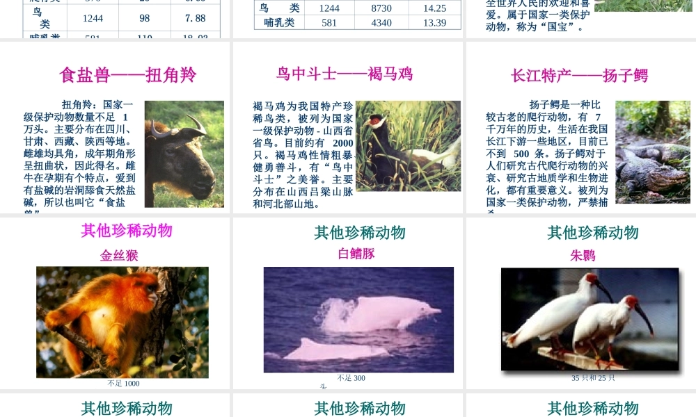 八年级生物上册《我国的动物资源》课件1 北师大版