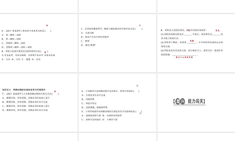 八年级生物下册 7.1.3两栖动物的生殖和发育课件 （新版）新人教版-（新版）新人教版初中八年级下册生物课件