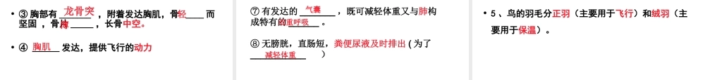 八年级生物上册复习课件 新人教版-新人教版初中八年级上册生物课件