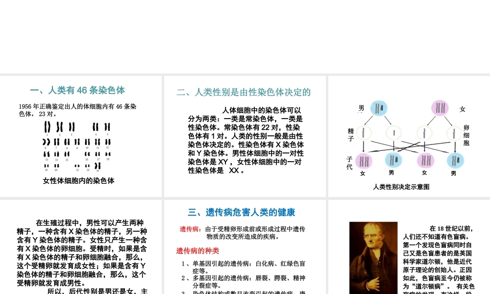 八年级生物上册 第十一章 第三节 人类的遗传课件 （新版）北京版-北京版初中八年级上册生物课件