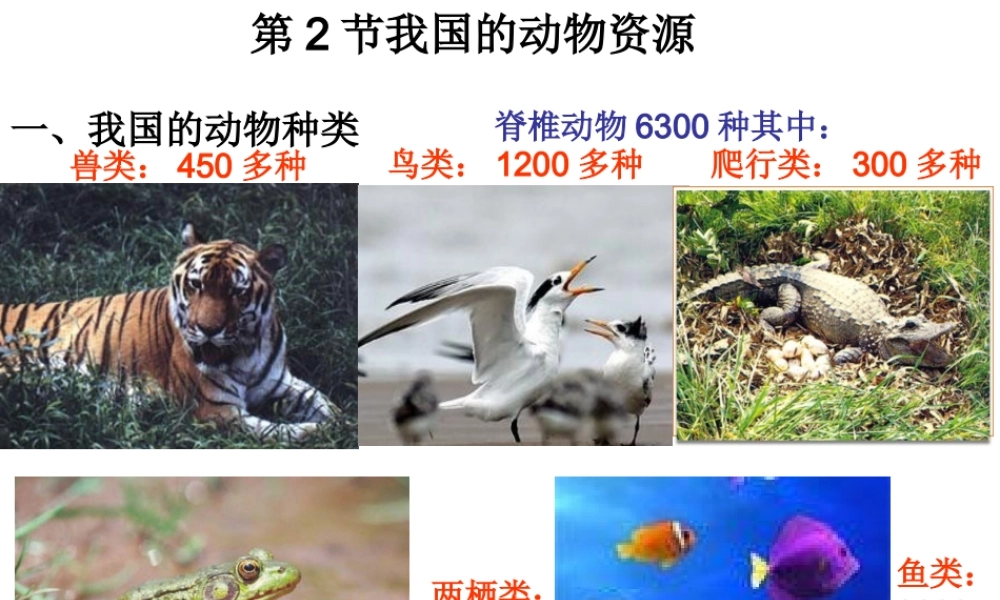 八年级生物上册《我国的动物资源》课件2 北师大版