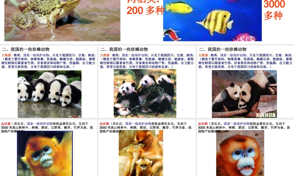 八年级生物上册《我国的动物资源》课件2 北师大版