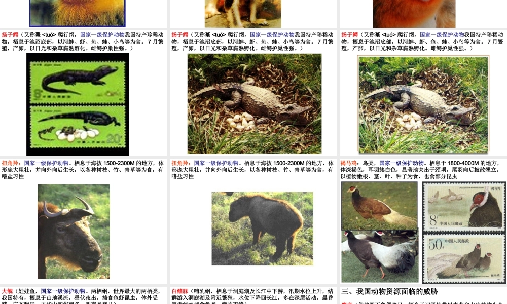 八年级生物上册《我国的动物资源》课件2 北师大版