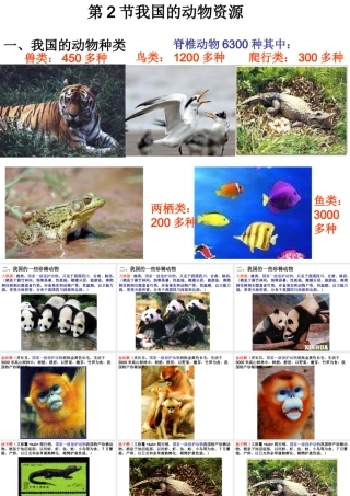 八年级生物上册《我国的动物资源》课件2 北师大版
