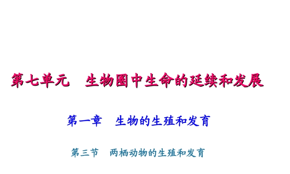 八年级生物下册 7.1.3两栖动物的生殖和发育课件 （新版）新人教版-（新版）新人教级下册生物课件
