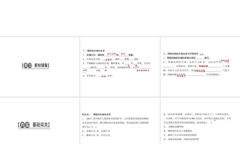 八年级生物下册 7.1.3两栖动物的生殖和发育课件 （新版）新人教版-（新版）新人教级下册生物课件