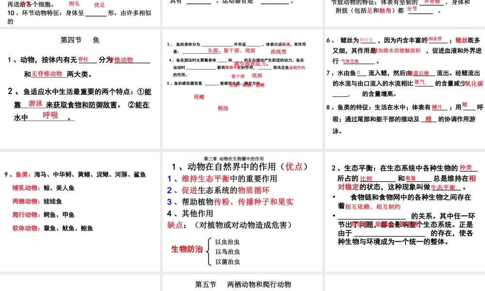 八年级生物上册复习课件 新人教版-新人教级上册生物课件