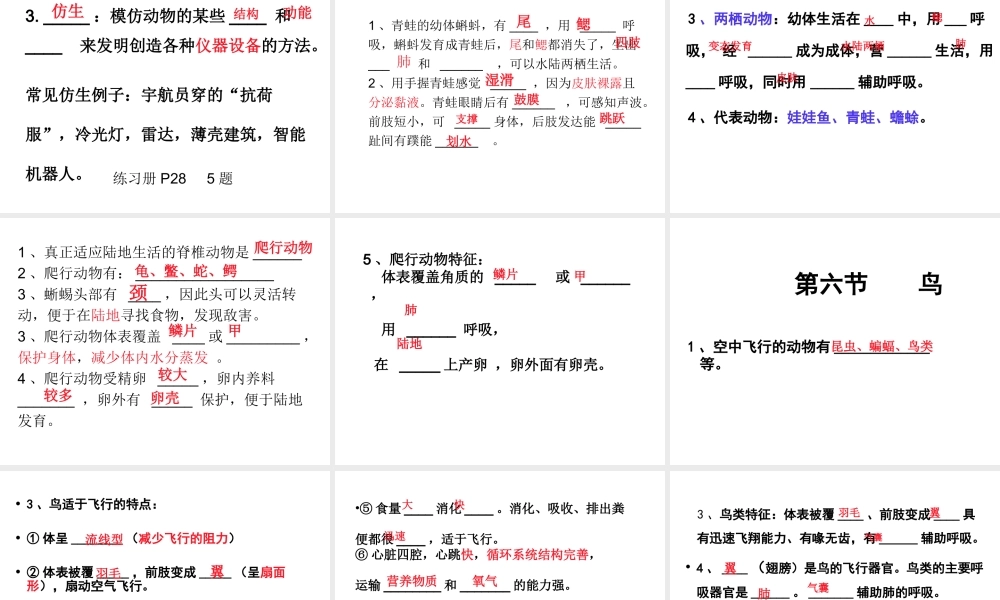 八年级生物上册复习课件 新人教版-新人教级上册生物课件