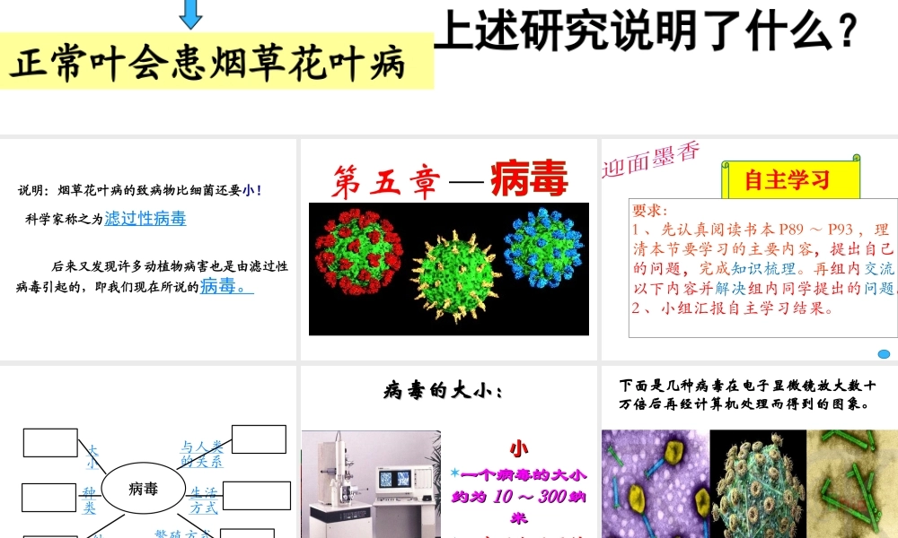 八年级生物上册 第五章 病毒课件 （新版）新人教版-（新版）新人教版初中八年级上册生物课件