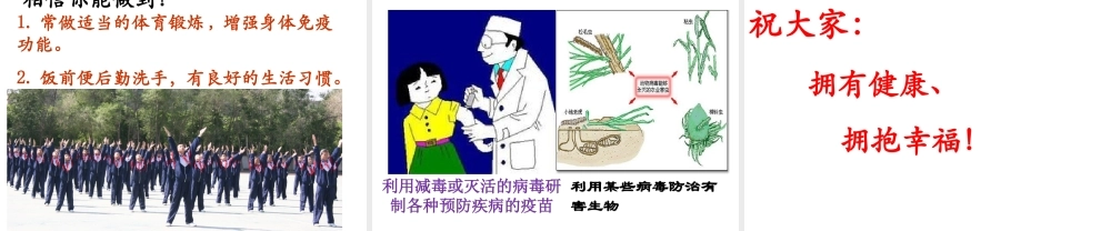 八年级生物上册 第五章 病毒课件 （新版）新人教版-（新版）新人教版初中八年级上册生物课件