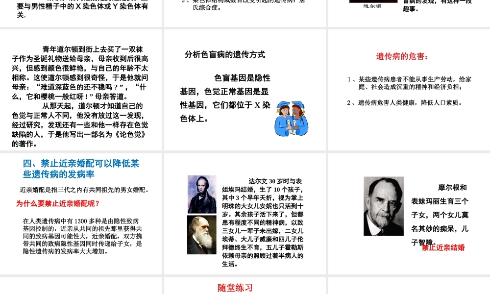 八年级生物上册 第十一章 第三节 人类的遗传课件 （新版）北京版-北京级上册生物课件