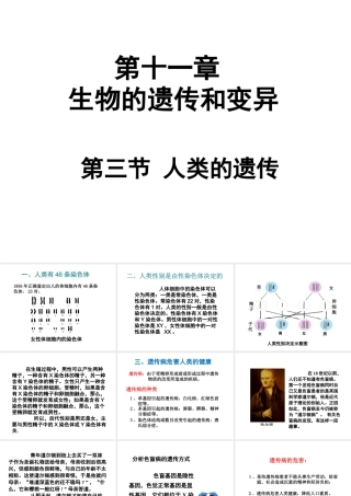 八年级生物上册 第十一章 第三节 人类的遗传课件 （新版）北京版-北京级上册生物课件