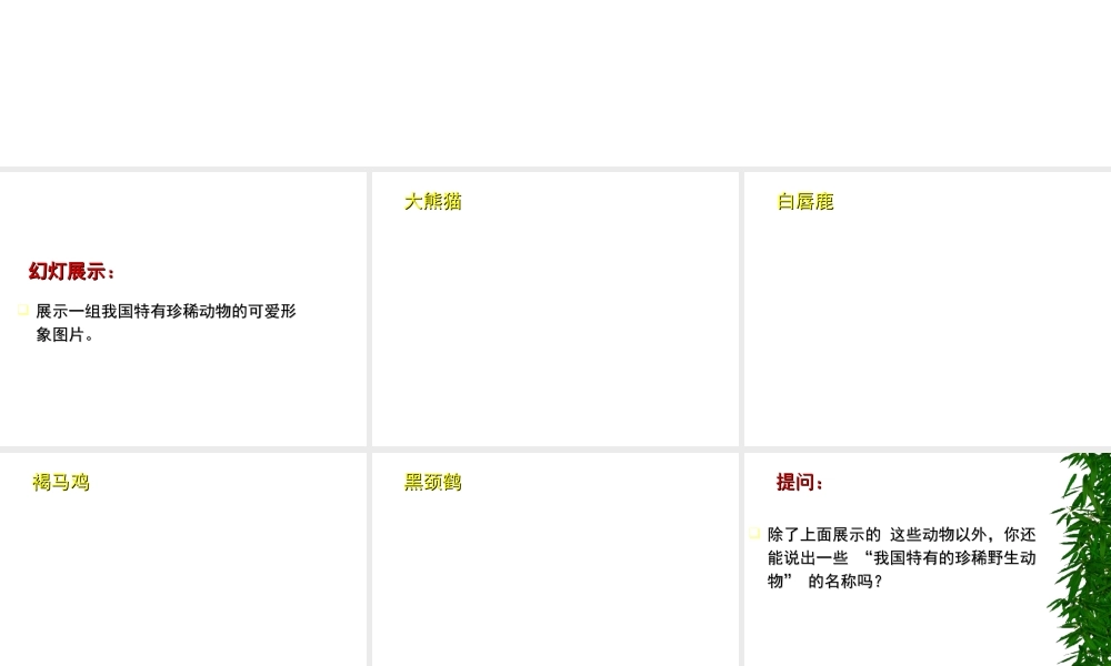 八年级生物上册《我国动物资源的保护》课件1 北师大版