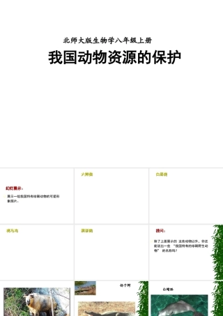 八年级生物上册《我国动物资源的保护》课件1 北师大版