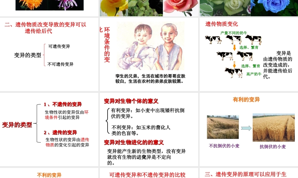 八年级生物上册 第十一章 第四节 生物的变异课件 （新版）北京版-北京版初中八年级上册生物课件