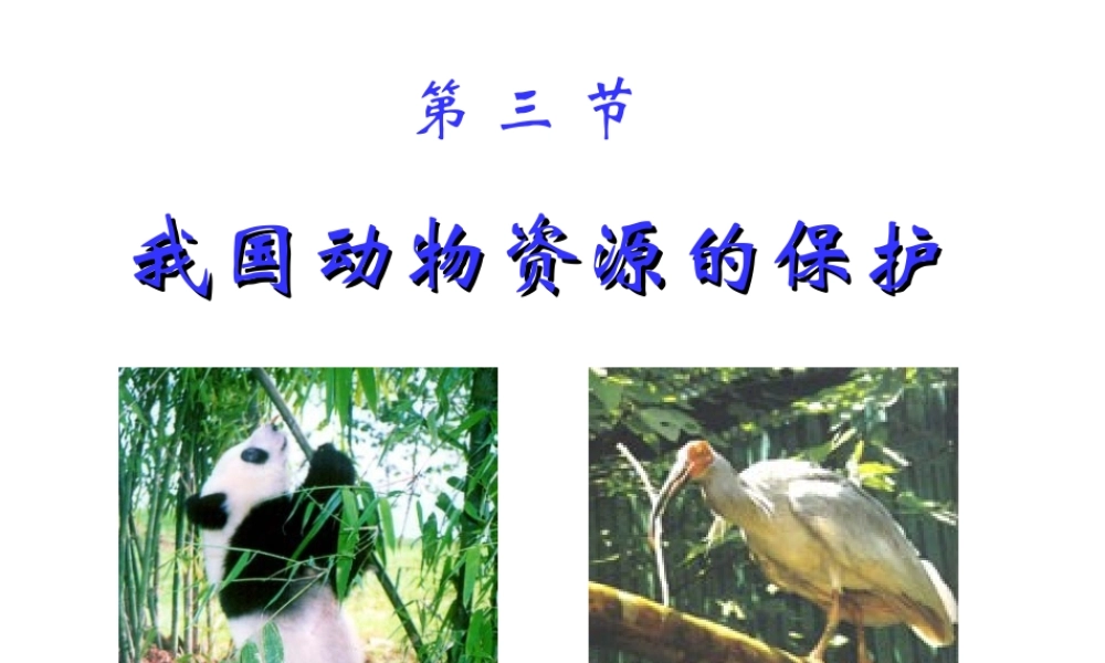 八年级生物上册《我国动物资源的保护》课件2 北师大版