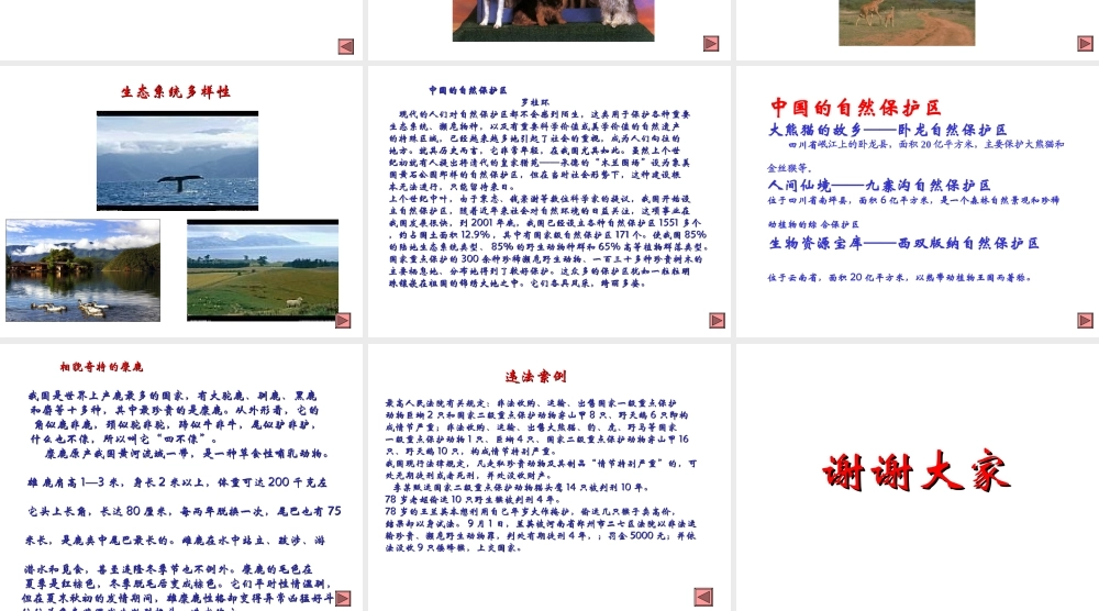 八年级生物上册《我国动物资源的保护》课件2 北师大版