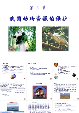 八年级生物上册《我国动物资源的保护》课件2 北师大版