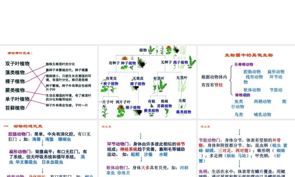八年级生物上册期末总复习课件 苏教版-苏教级上册生物课件