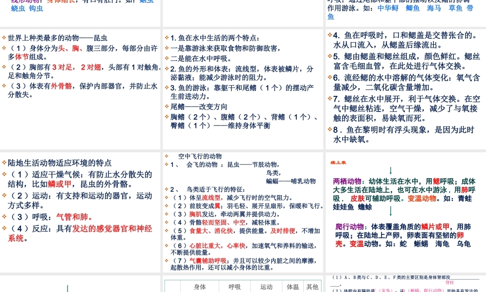 八年级生物上册期末总复习课件 苏教版-苏教级上册生物课件