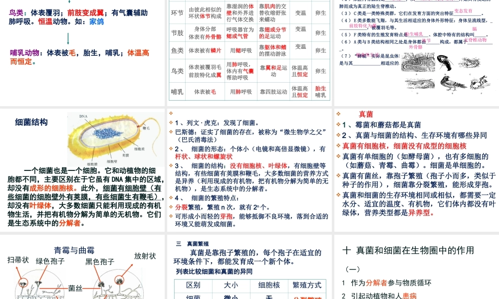 八年级生物上册期末总复习课件 苏教版-苏教级上册生物课件