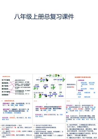八年级生物上册期末总复习课件 苏教版-苏教级上册生物课件