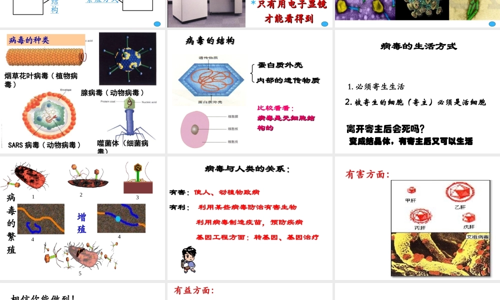 八年级生物上册 第五章 病毒课件 （新版）新人教版-（新版）新人教级上册生物课件