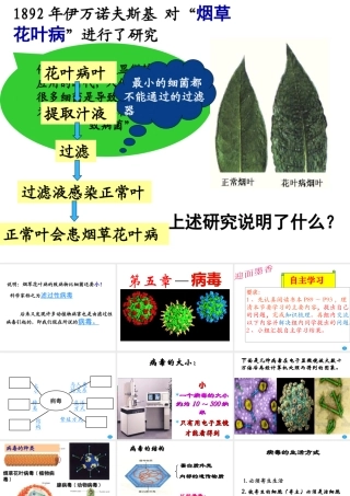 八年级生物上册 第五章 病毒课件 （新版）新人教版-（新版）新人教级上册生物课件