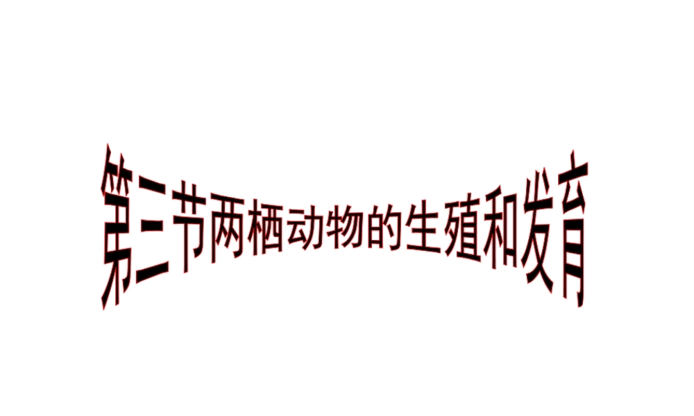 八年级生物下册 7.1.3两栖动物的生殖和发育课件1 （新版）新人教版-（新版）新人教级下册生物课件