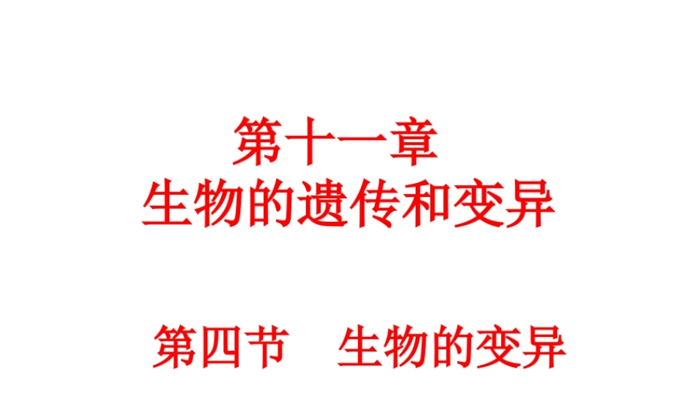 八年级生物上册 第十一章 第四节 生物的变异课件 （新版）北京版-北京级上册生物课件