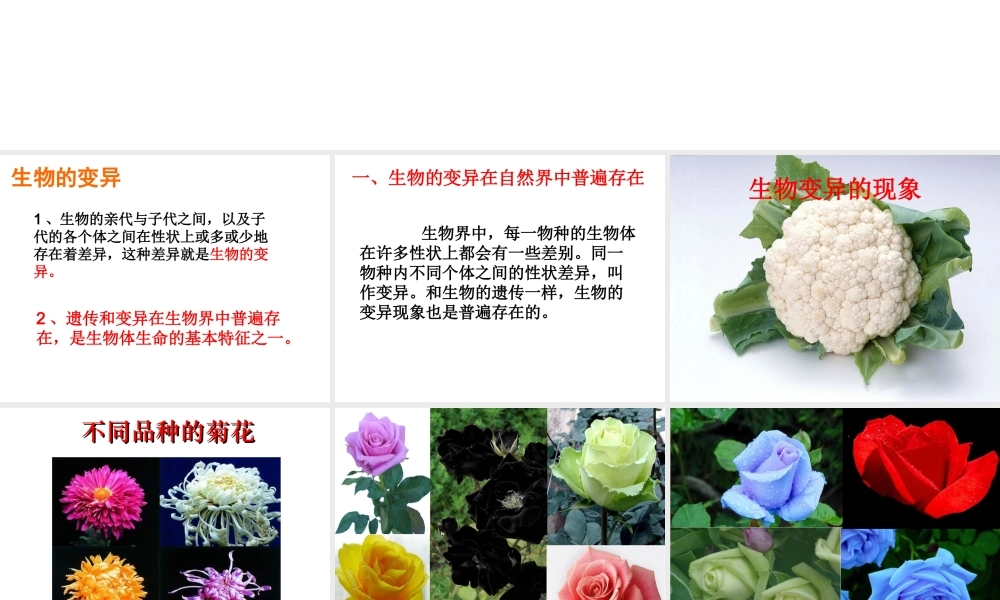 八年级生物上册 第十一章 第四节 生物的变异课件 （新版）北京版-北京级上册生物课件