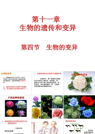 八年级生物上册 第十一章 第四节 生物的变异课件 （新版）北京版-北京级上册生物课件