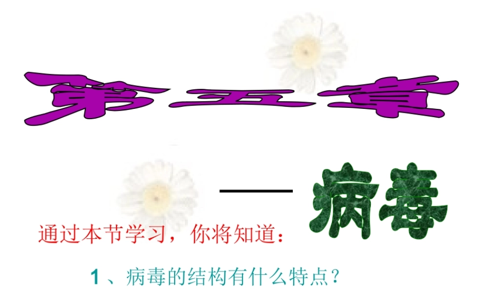 八年级生物上册 第五章 病毒课件 新人教版