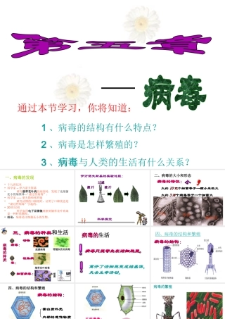 八年级生物上册 第五章 病毒课件 新人教版