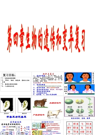 八年级生物上册生物的遗传和变异》课件2 北师大版