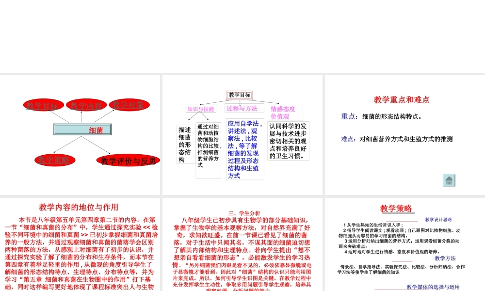 八年级生物上册《细菌》说课课件 新人教版