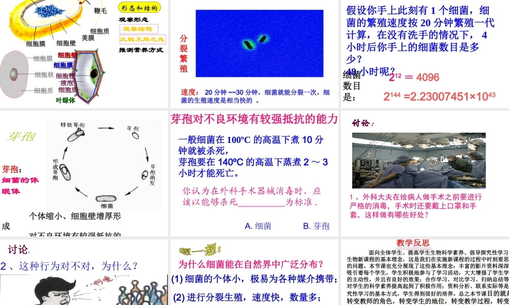 八年级生物上册《细菌》说课课件 新人教版