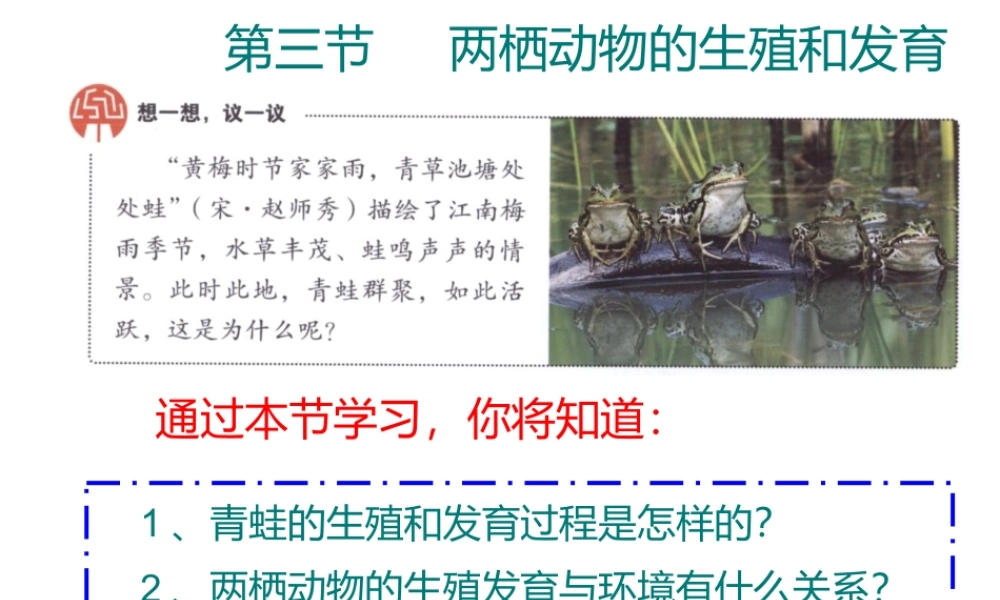 八年级生物下册 7.1.3两栖动物的生殖和发育课件2 （新版）新人教版-（新版）新人教版初中八年级下册生物课件