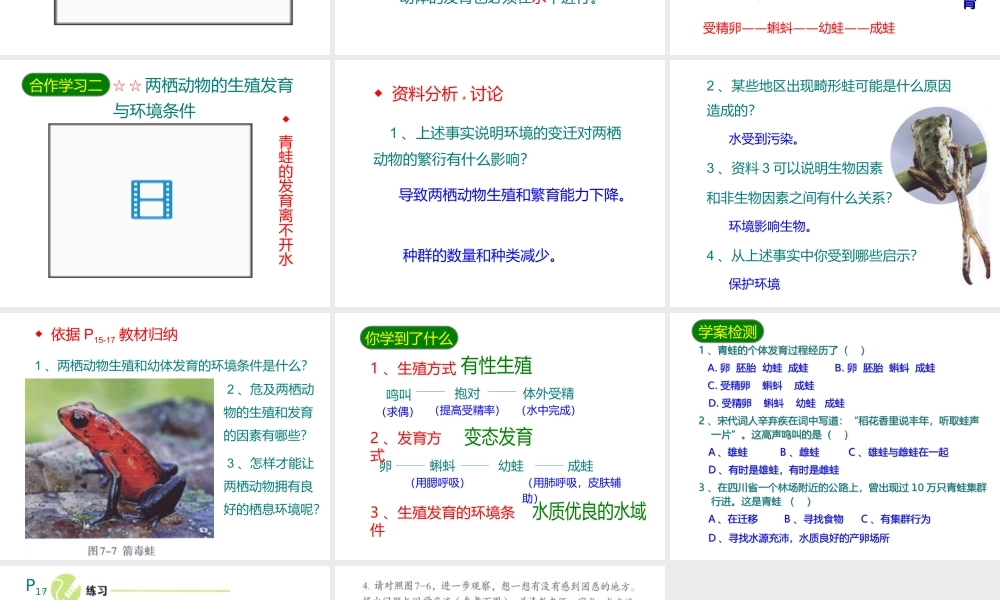 八年级生物下册 7.1.3两栖动物的生殖和发育课件2 （新版）新人教版-（新版）新人教版初中八年级下册生物课件