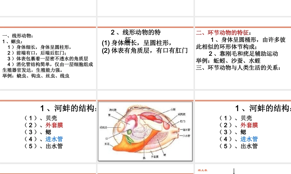 八年级生物上册总复习课件 新人教版-新人教版初中八年级上册生物课件
