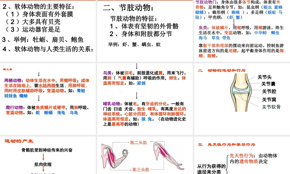 八年级生物上册总复习课件 新人教版-新人教版初中八年级上册生物课件