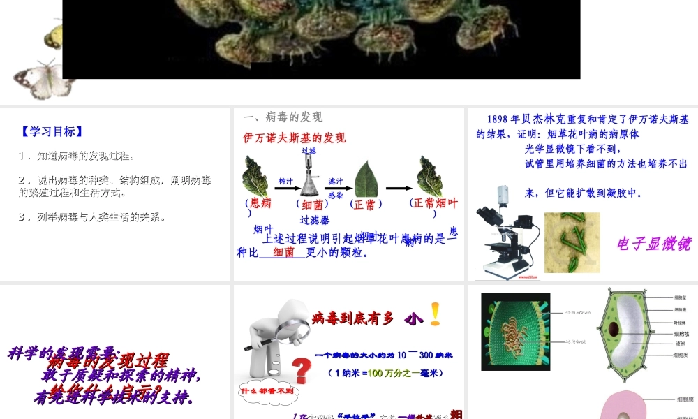 八年级生物上册 第五章 病毒课件 新人教版-新人教版初中八年级上册生物课件