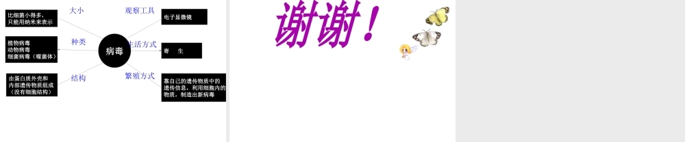 八年级生物上册 第五章 病毒课件 新人教版-新人教版初中八年级上册生物课件