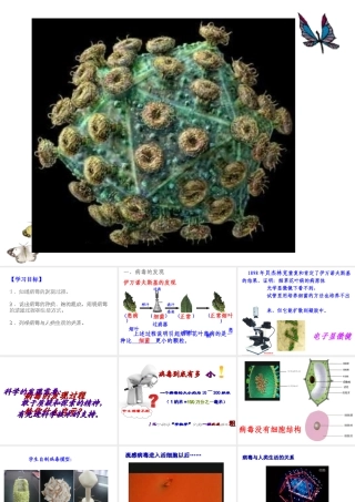 八年级生物上册 第五章 病毒课件 新人教版-新人教版初中八年级上册生物课件