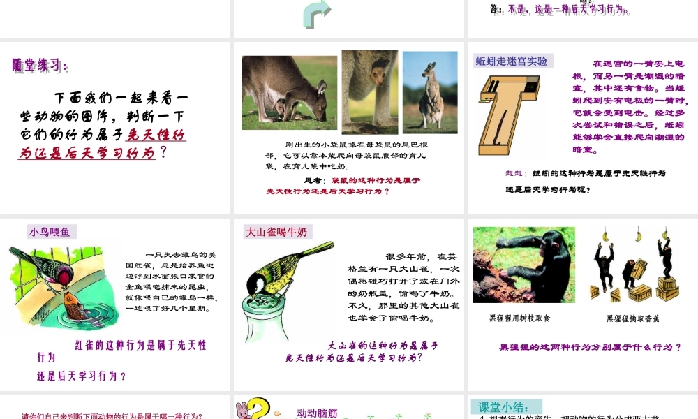 八年级生物上册《先天性行为和后天学习行为》课件1 北师大版