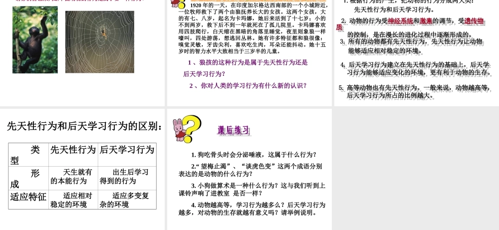 八年级生物上册《先天性行为和后天学习行为》课件1 北师大版