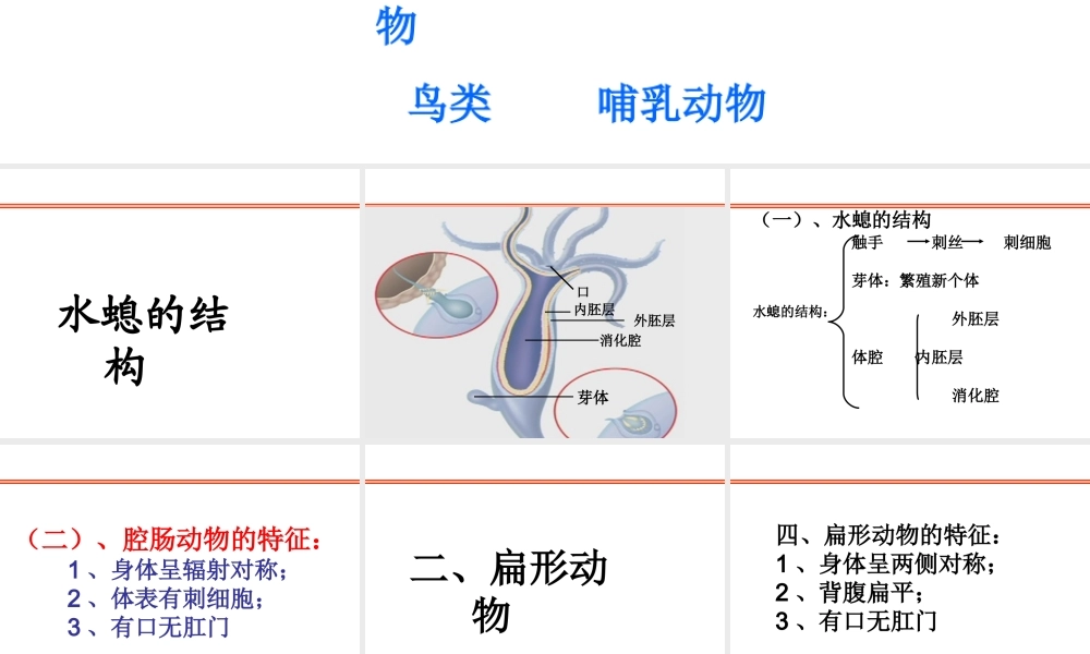 八年级生物上册总复习课件 新人教版-新人教级上册生物课件